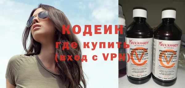 шишки Гвардейск
