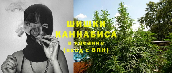стафф Бородино