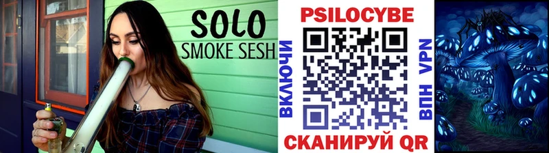 Галлюциногенные грибы Psilocybe  Бугуруслан 