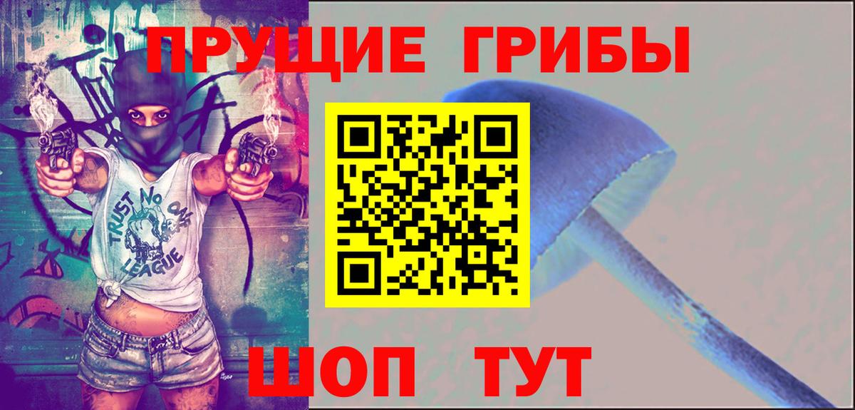 Псилоцибиновые грибы ЛСД Бугуруслан